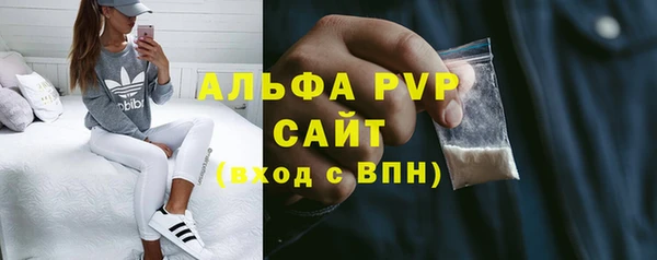 сатива Гусев