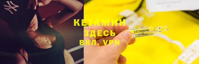 сатива Гусев