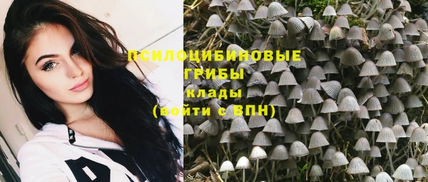 винт Гусиноозёрск