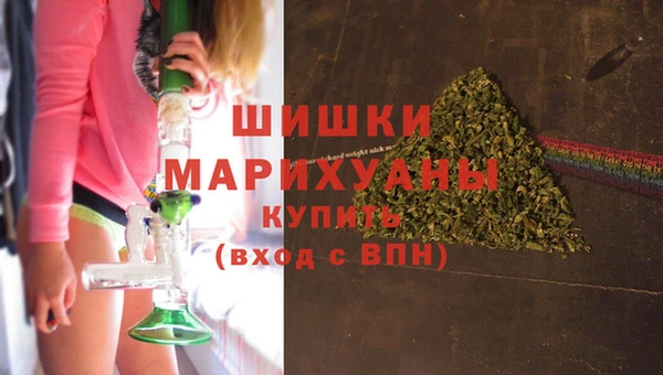 сатива Гусев