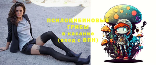 винт Гусиноозёрск