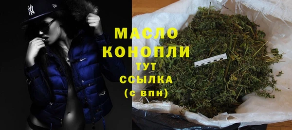 сатива Гусев