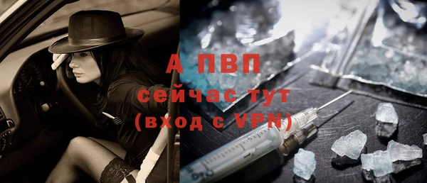 сатива Гусев