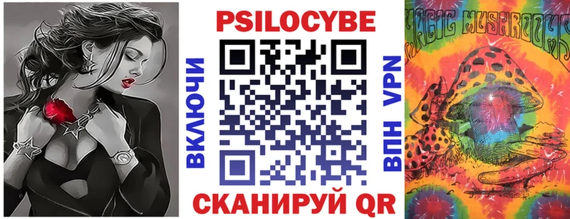 сколько стоит  Данков  Галлюциногенные грибы Psilocybe 